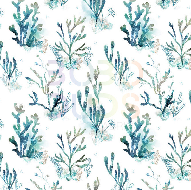 Seaweed