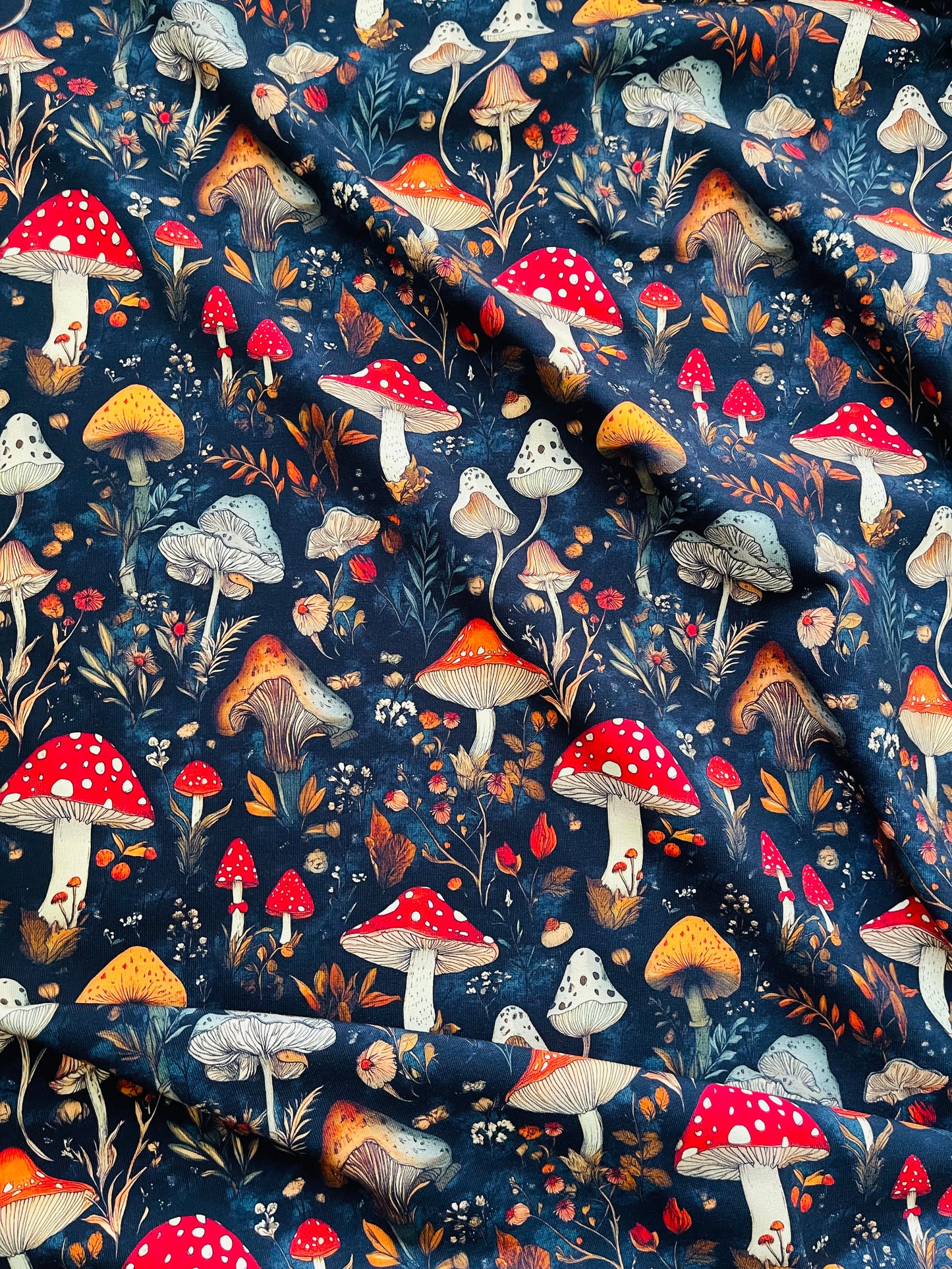 Dark fungi (in-stock)
