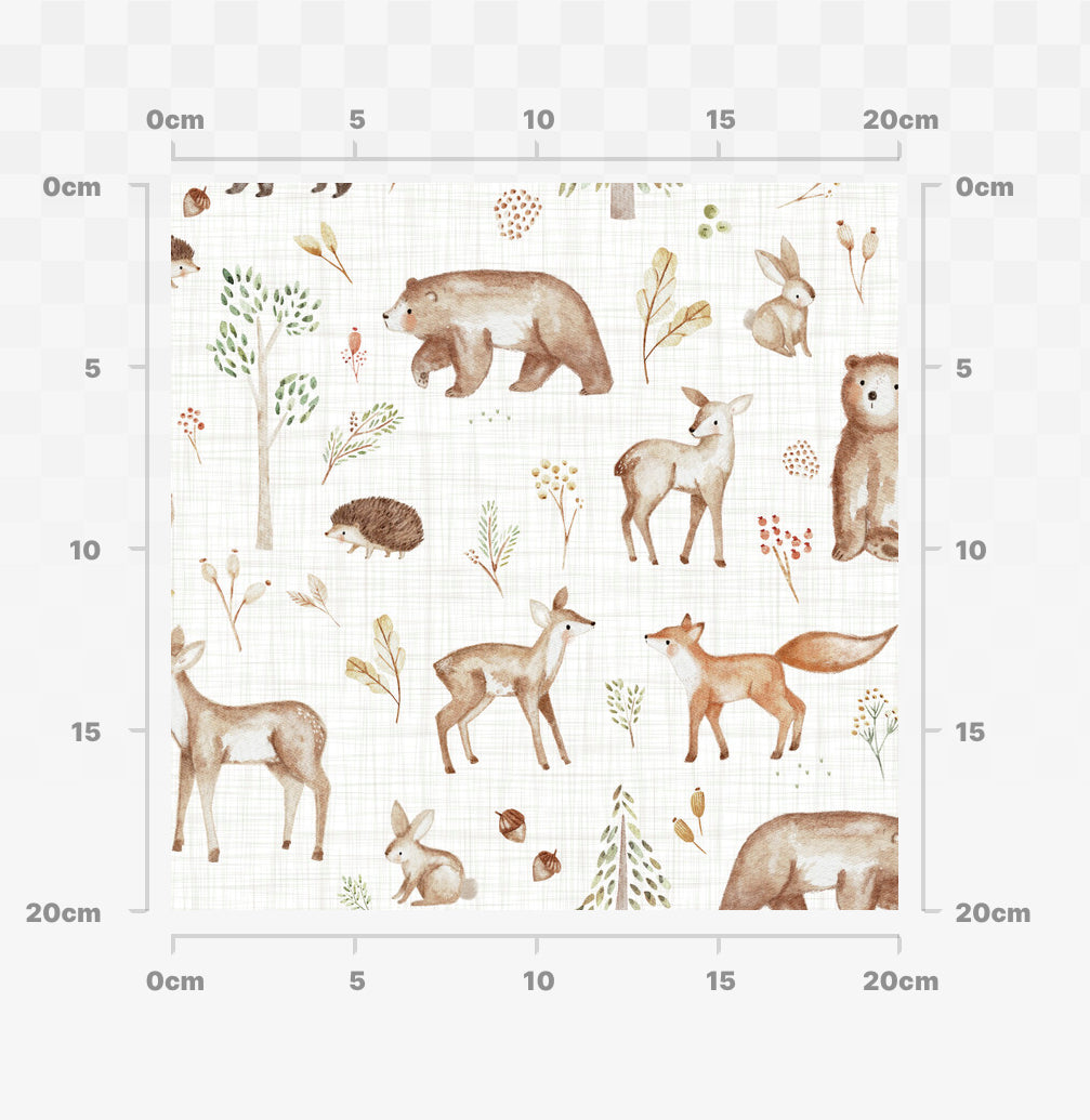 Hickory woodland animals