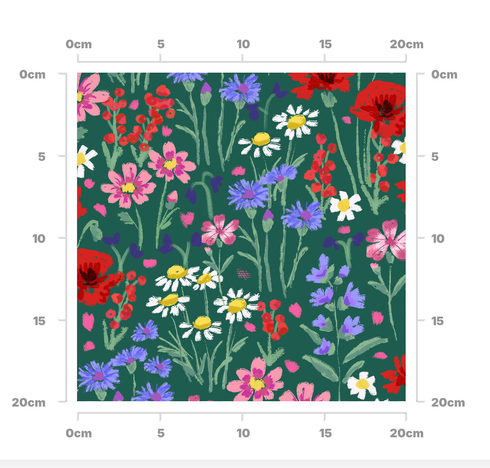 Summer wildflower