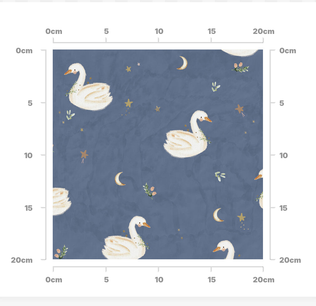 Swan night