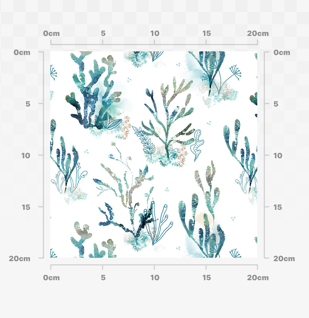 Seaweed