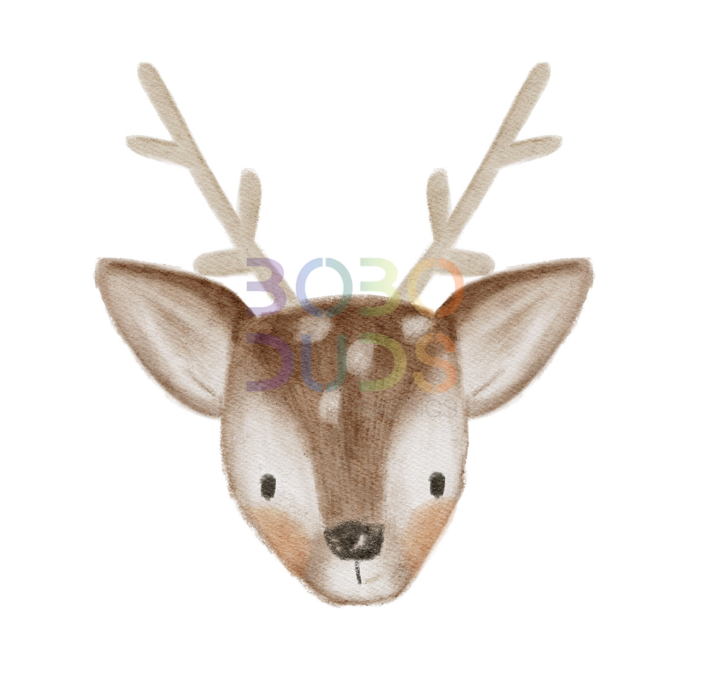 Festibob (PNG Transfer)