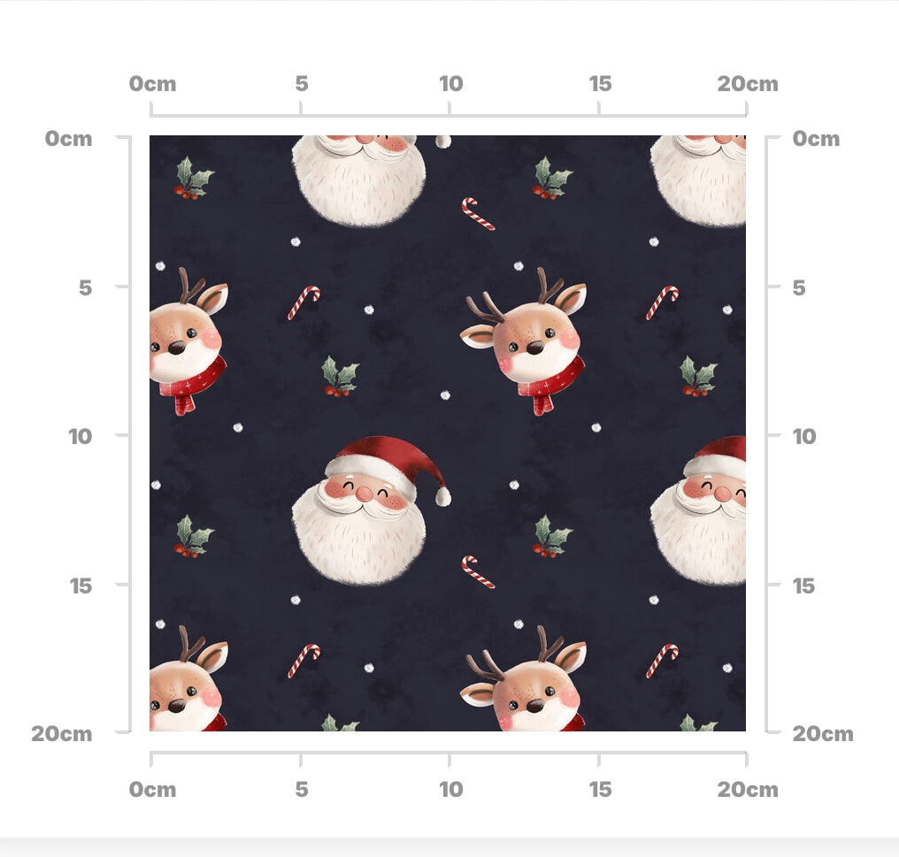 Cute Santa and reindeer