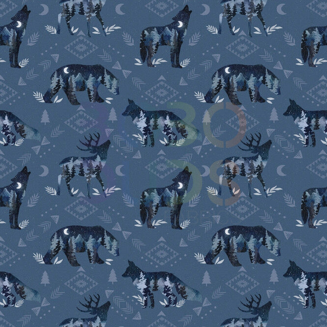 The wilds (night)