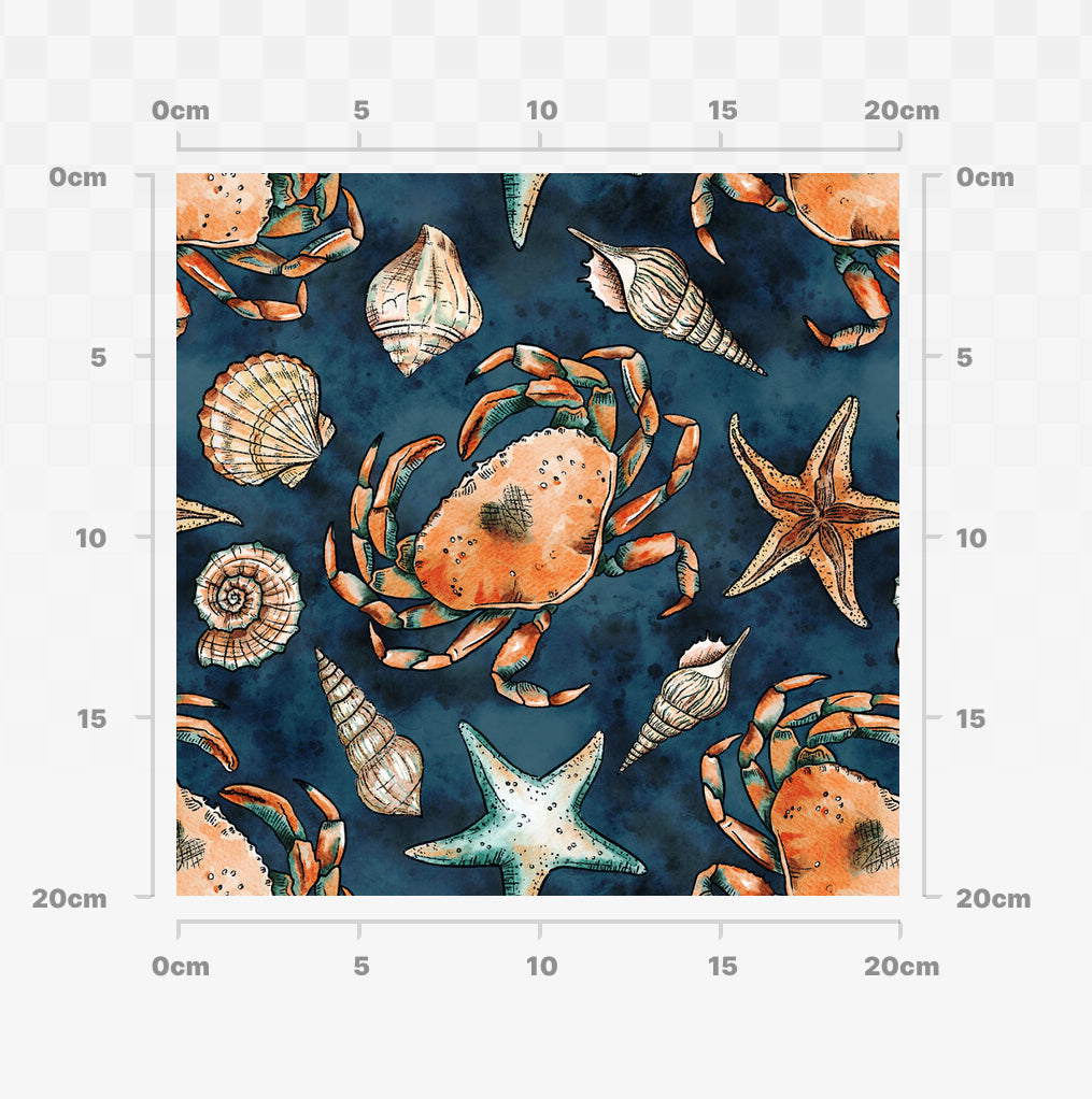 Crab and shells (colour)