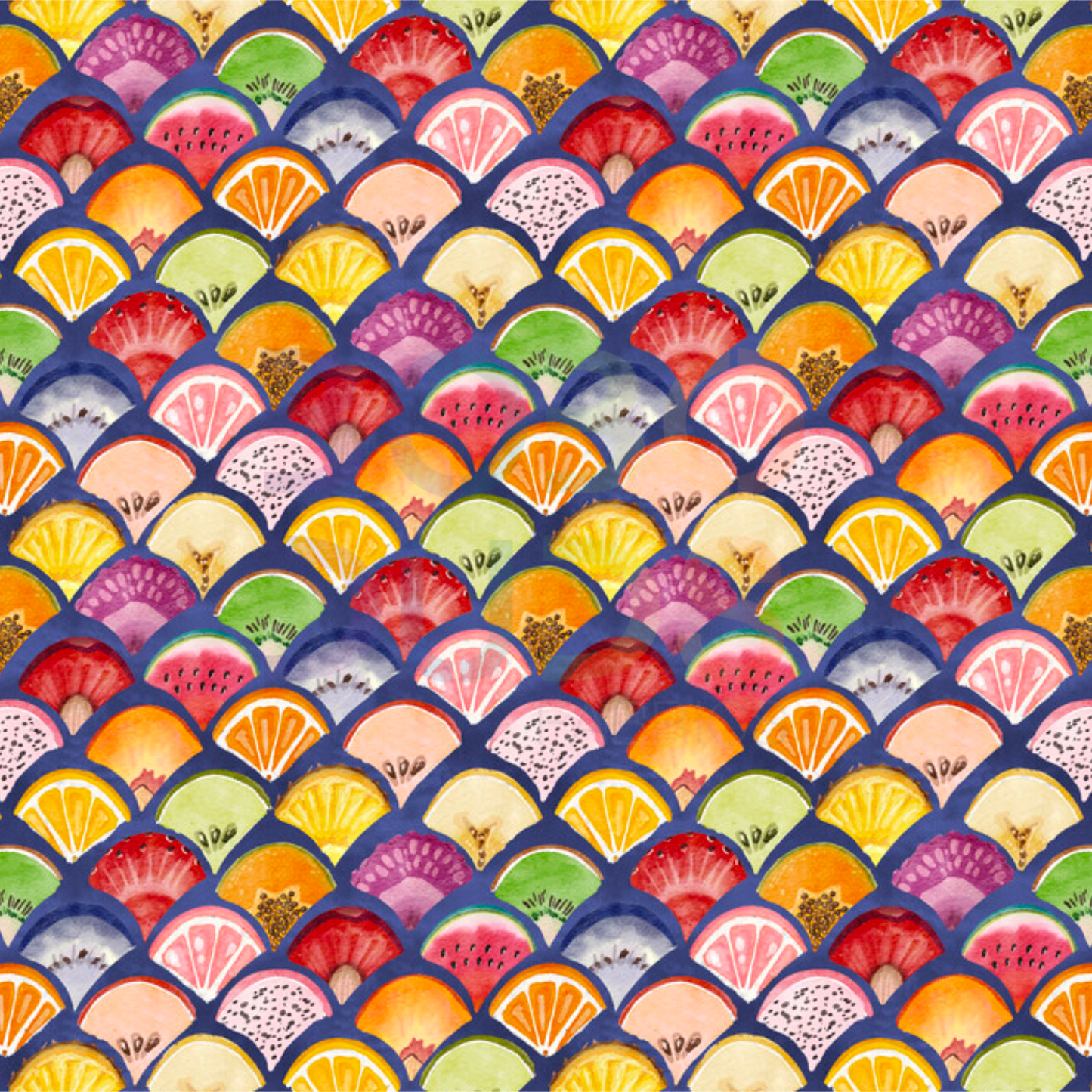 Fruit scallops (navy)