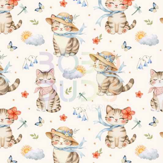 Kitty