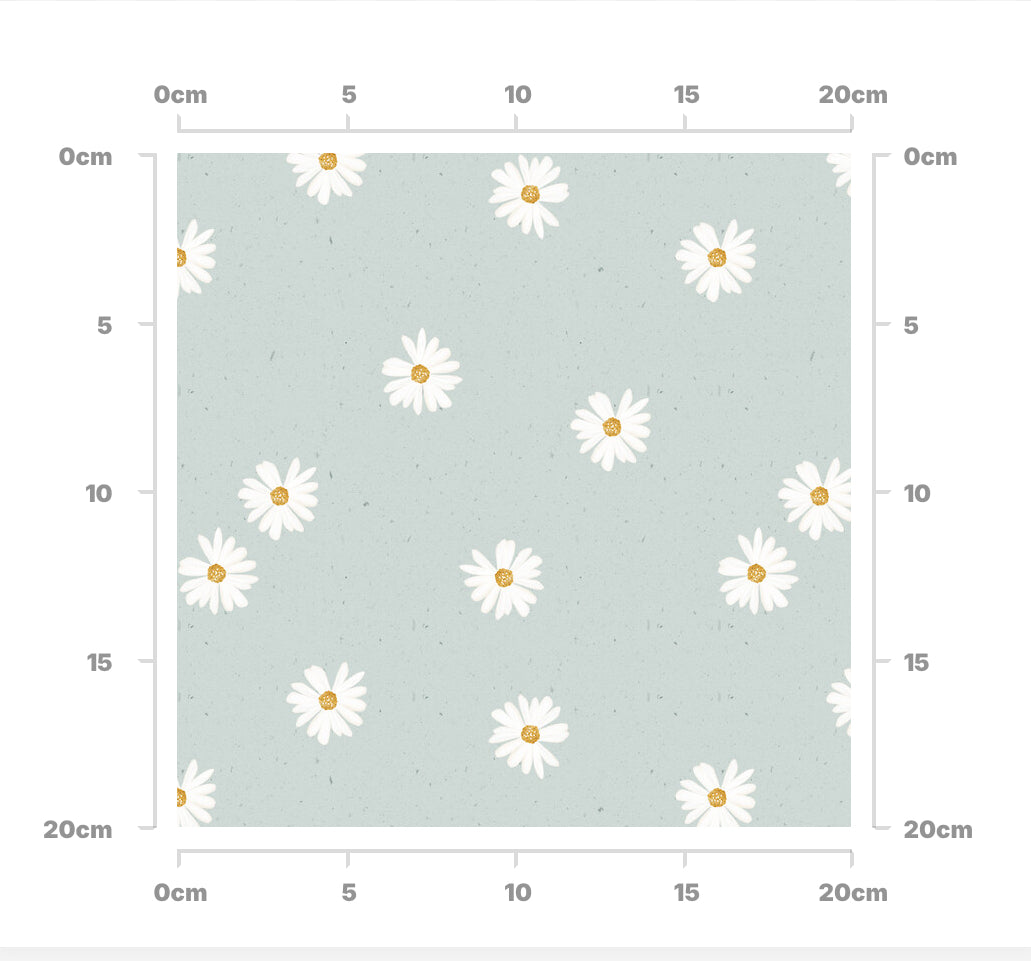Daisy chalky