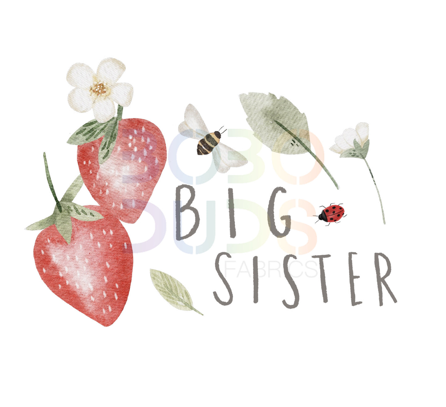 Strawberry meadow (BIG SISTER) (PNG Transfer)