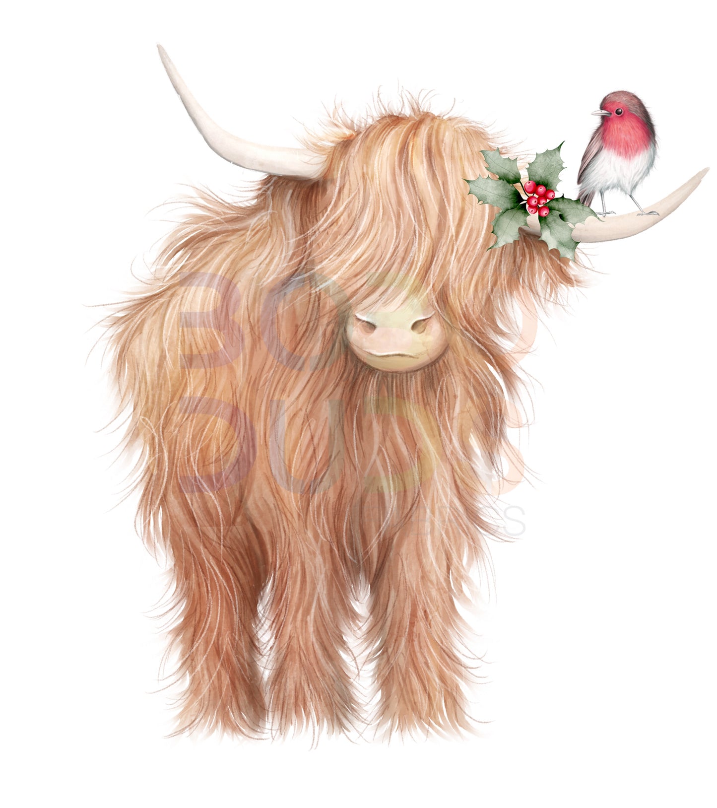Highland cow Christmas (PNG Transfer)
