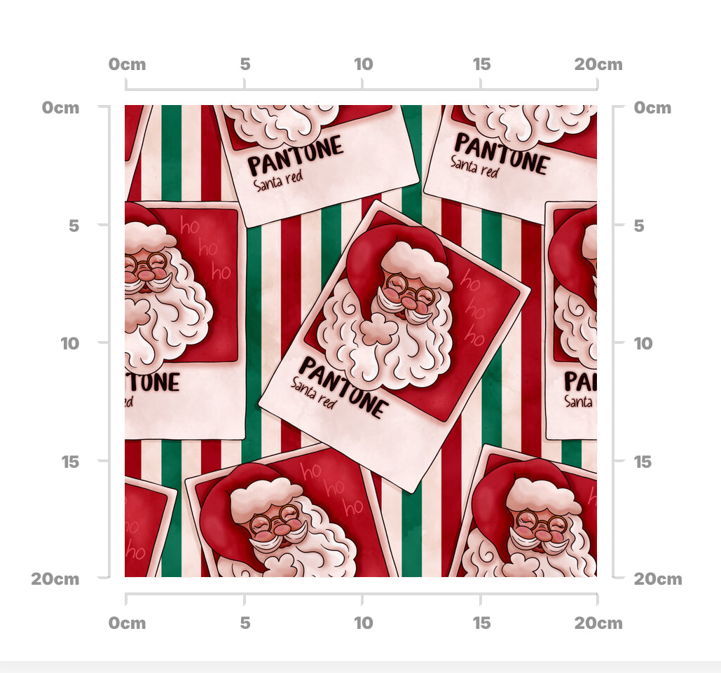 Pantomime Santa
