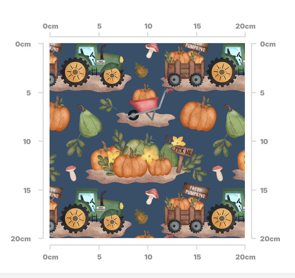 Midnight pumpkin patch