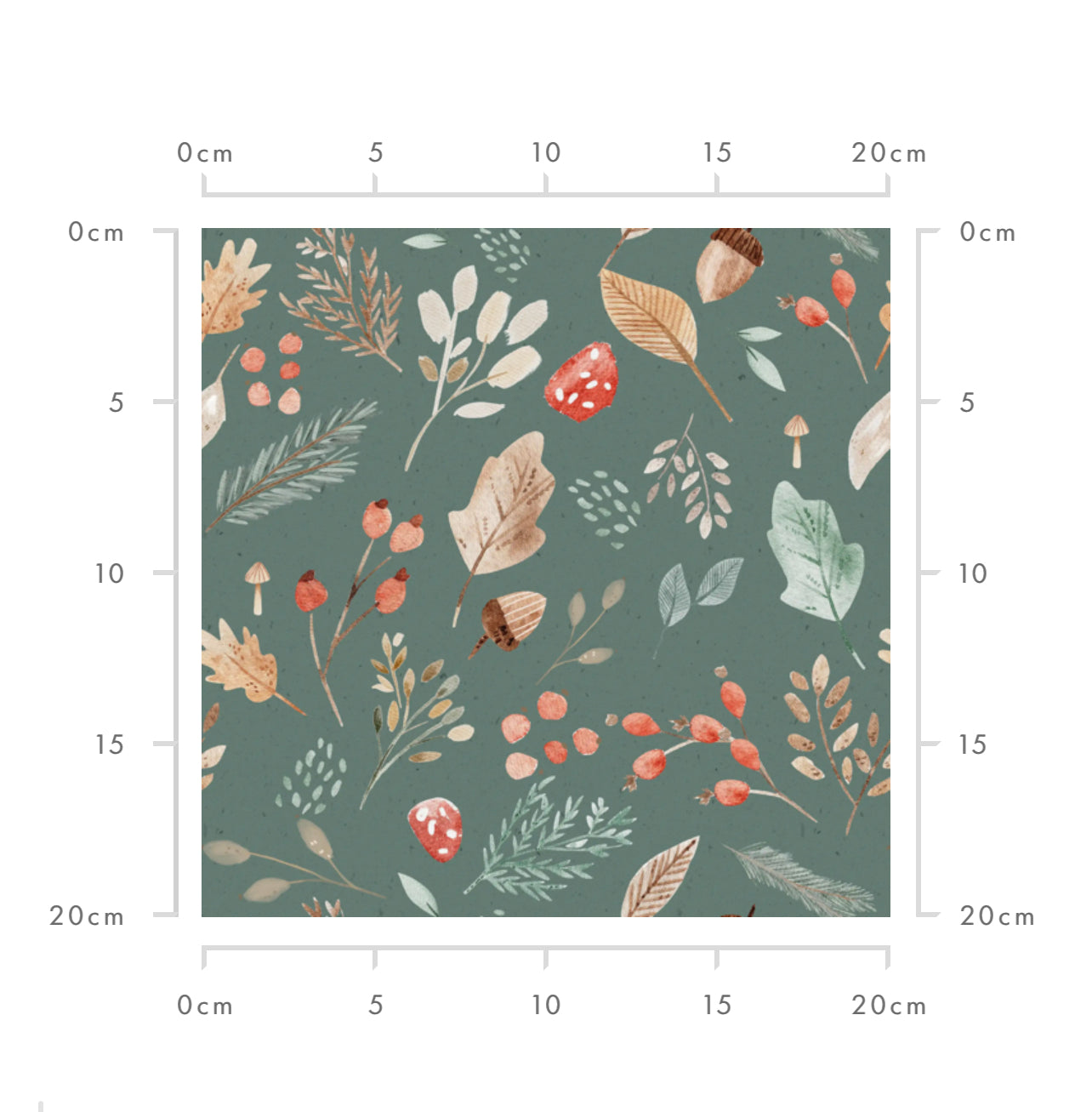 Maple (Forest)