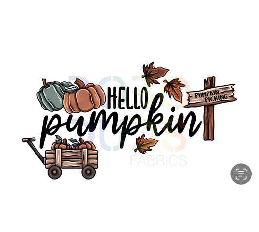 Hello pumpkin (PNG Transfer)