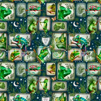 Quincy chameleon