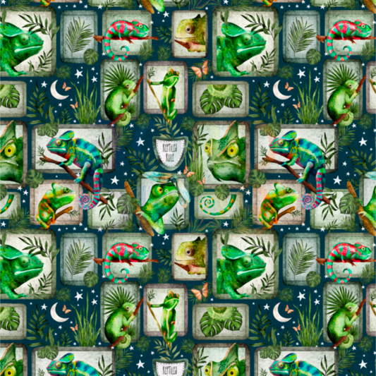 Quincy chameleon