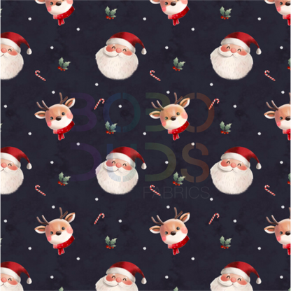 Cute Santa and reindeer