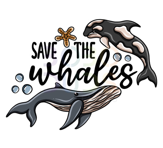 Whales (PNG transfer)