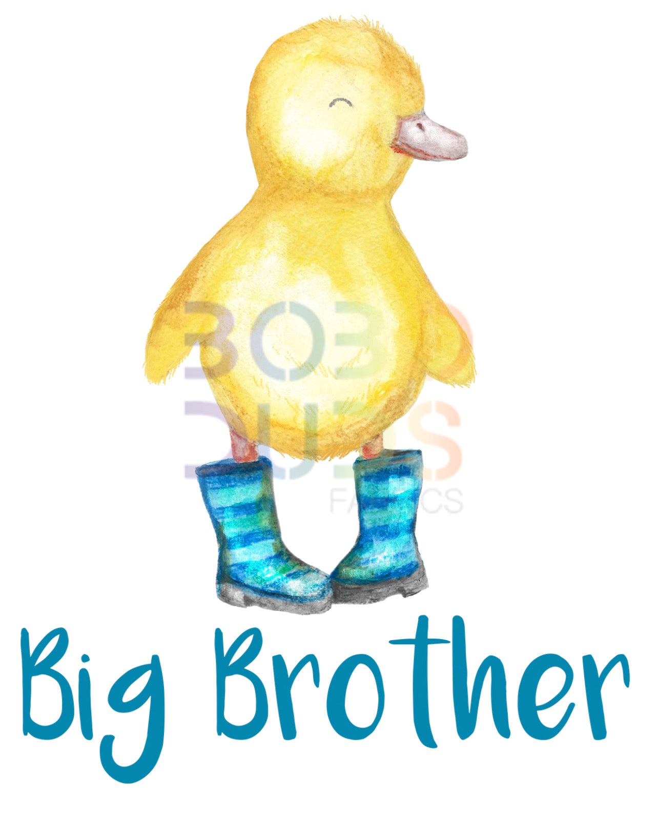 Buddy duck big brother PNG Transfer