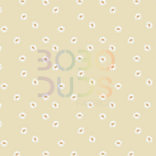 Butter daisy meadow