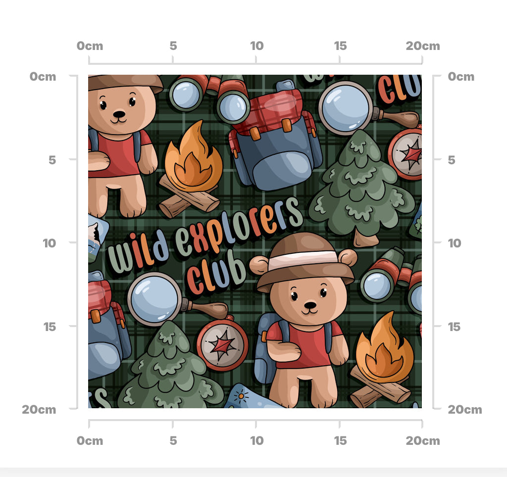 Wild explorer (check)