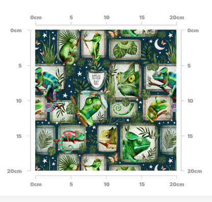 Quincy chameleon