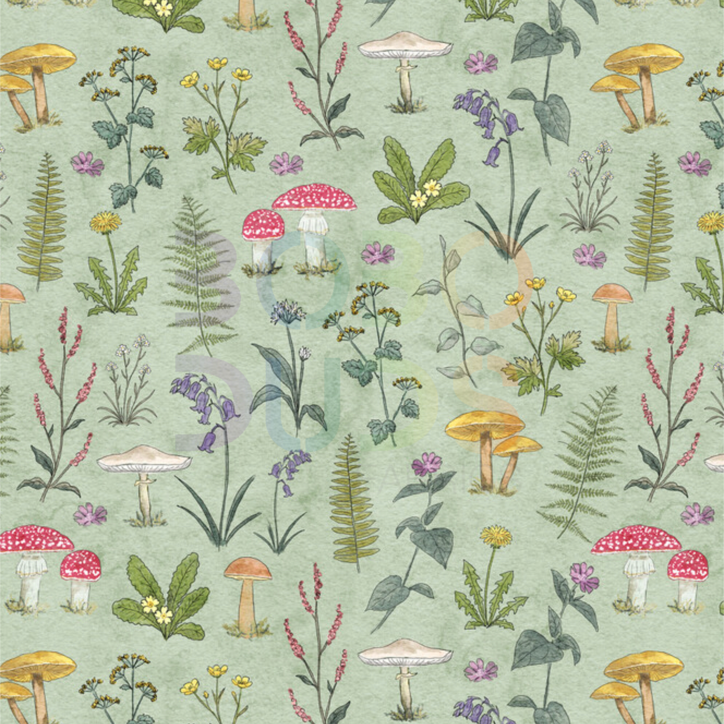 Woodland wildflower