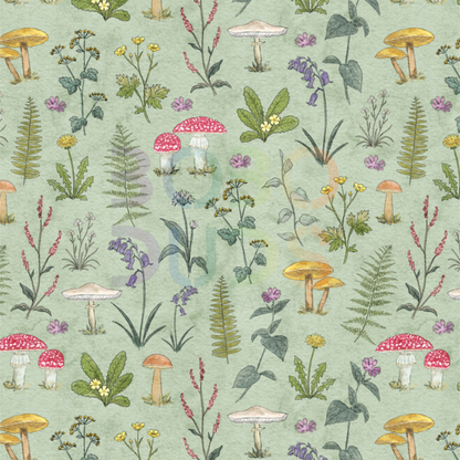Woodland wildflower