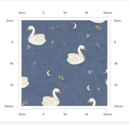 Swan night