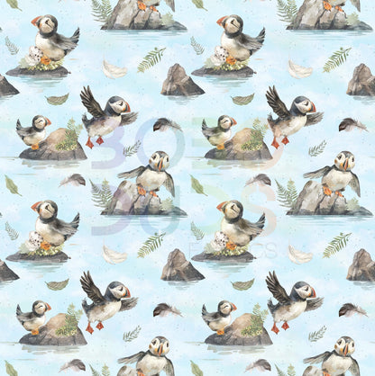 Puffins