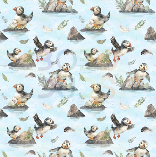 Puffins