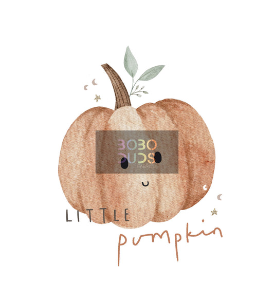 Little pumkins PNG Transfers