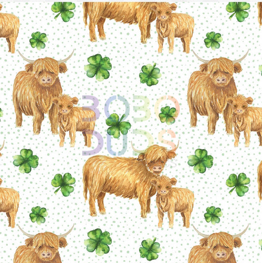 St Patrick highland cows