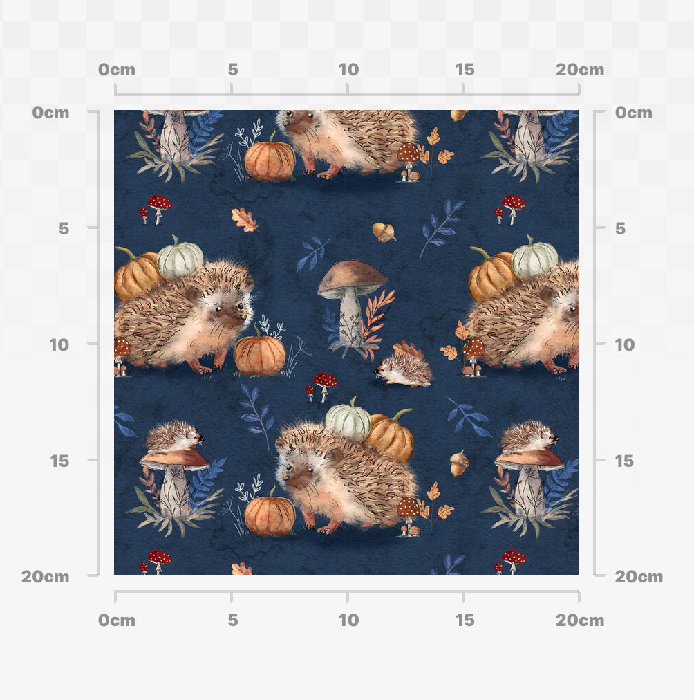 Autumn hedgehogs