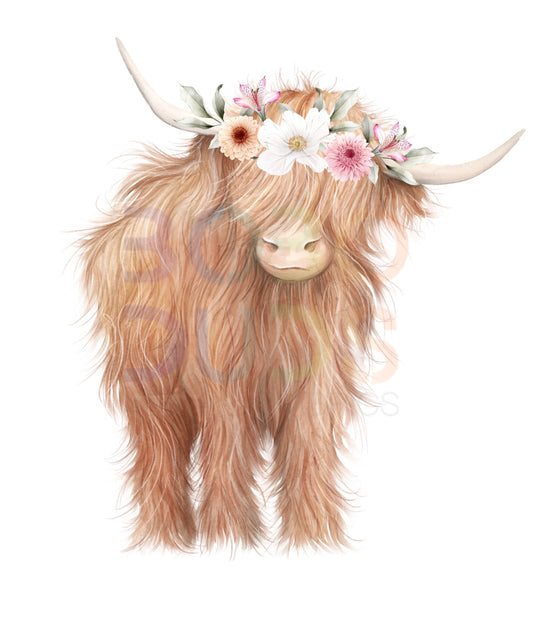 Floral highland cow (PNG Transfer)