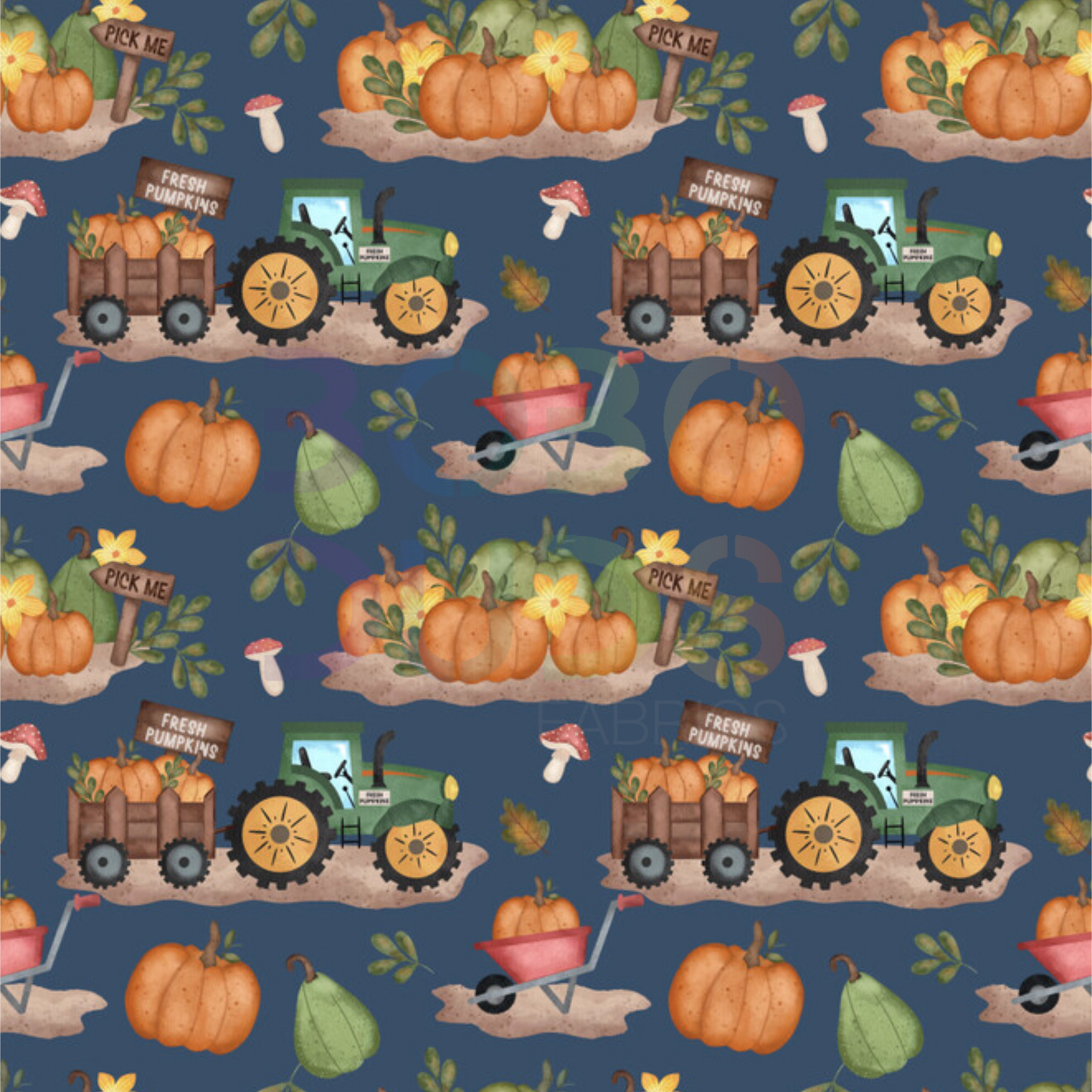 Midnight pumpkin patch