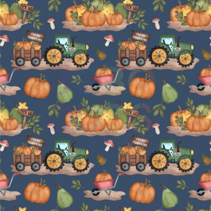 Midnight pumpkin patch