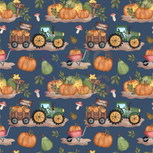 Midnight pumpkin patch