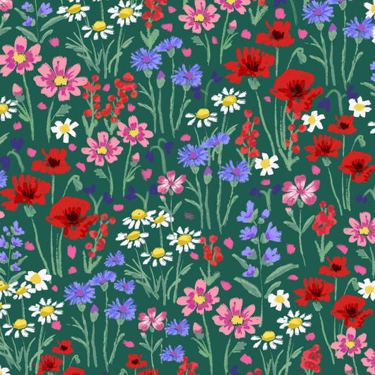Summer wildflower