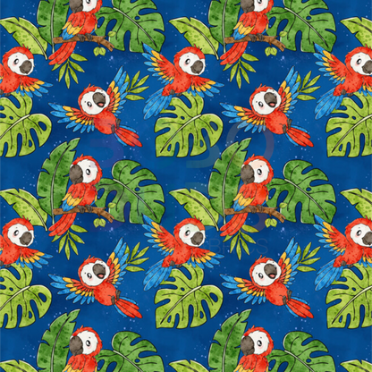 Cute macaw