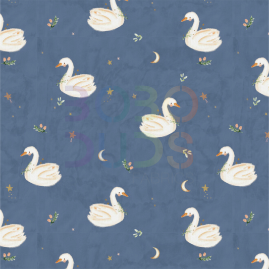 Swan night