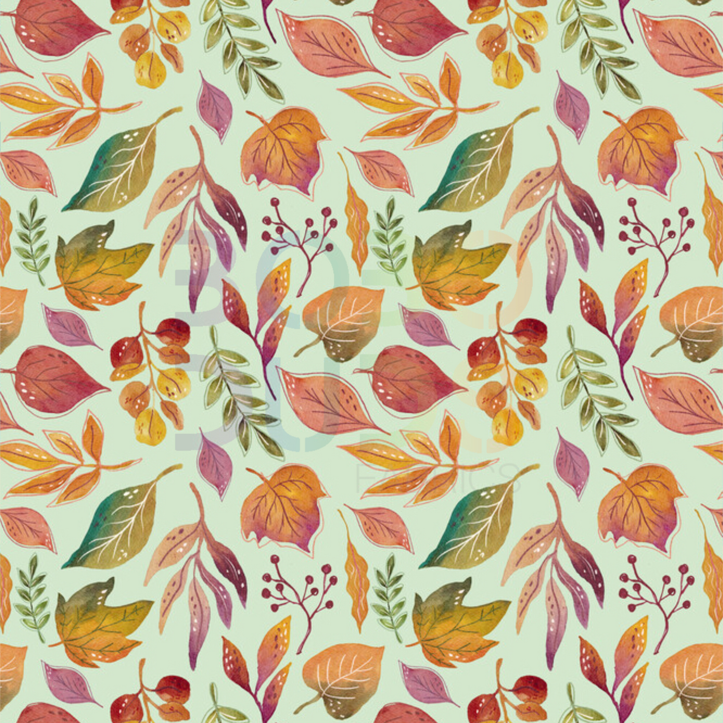 Fern leaves