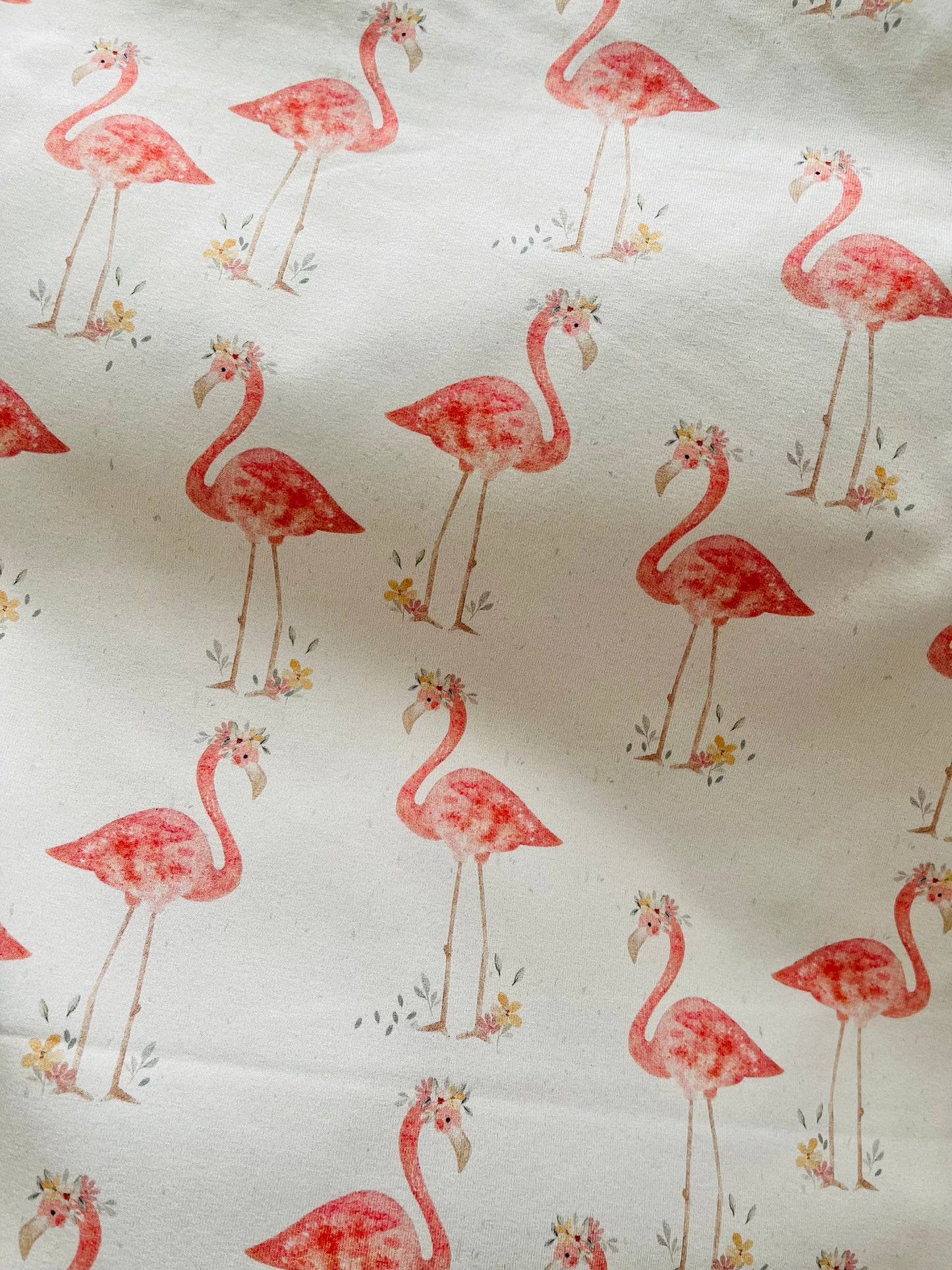 Flamingos  (in stock)