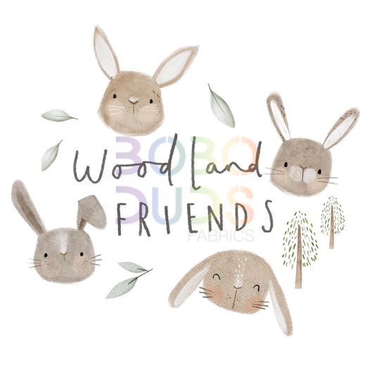 Fluff woodland friends PNG Transfer