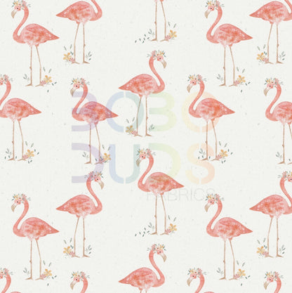 Flamingos