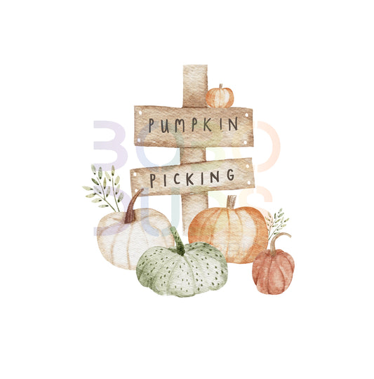 Pumpkin pickin (PNG Transfer)