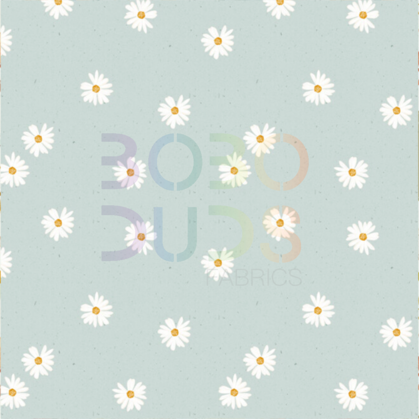 Daisy chalky
