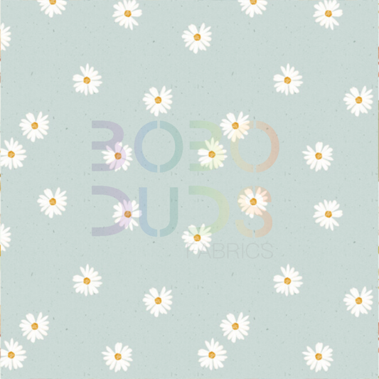 Daisy chalky